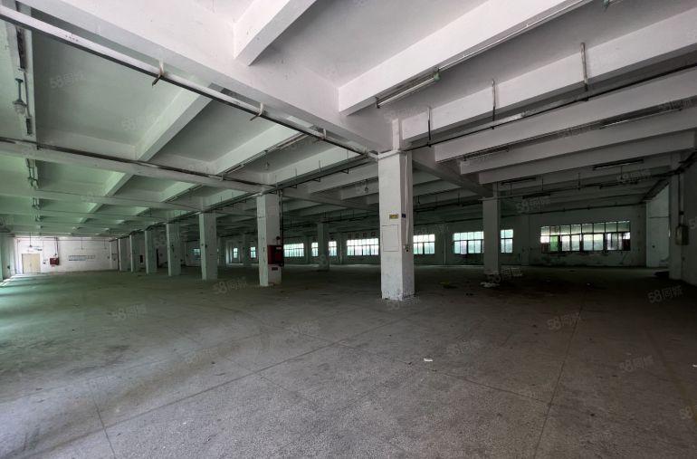 观澜黎光红本独门独院厂房一楼1700平方可整租可分租无宿舍