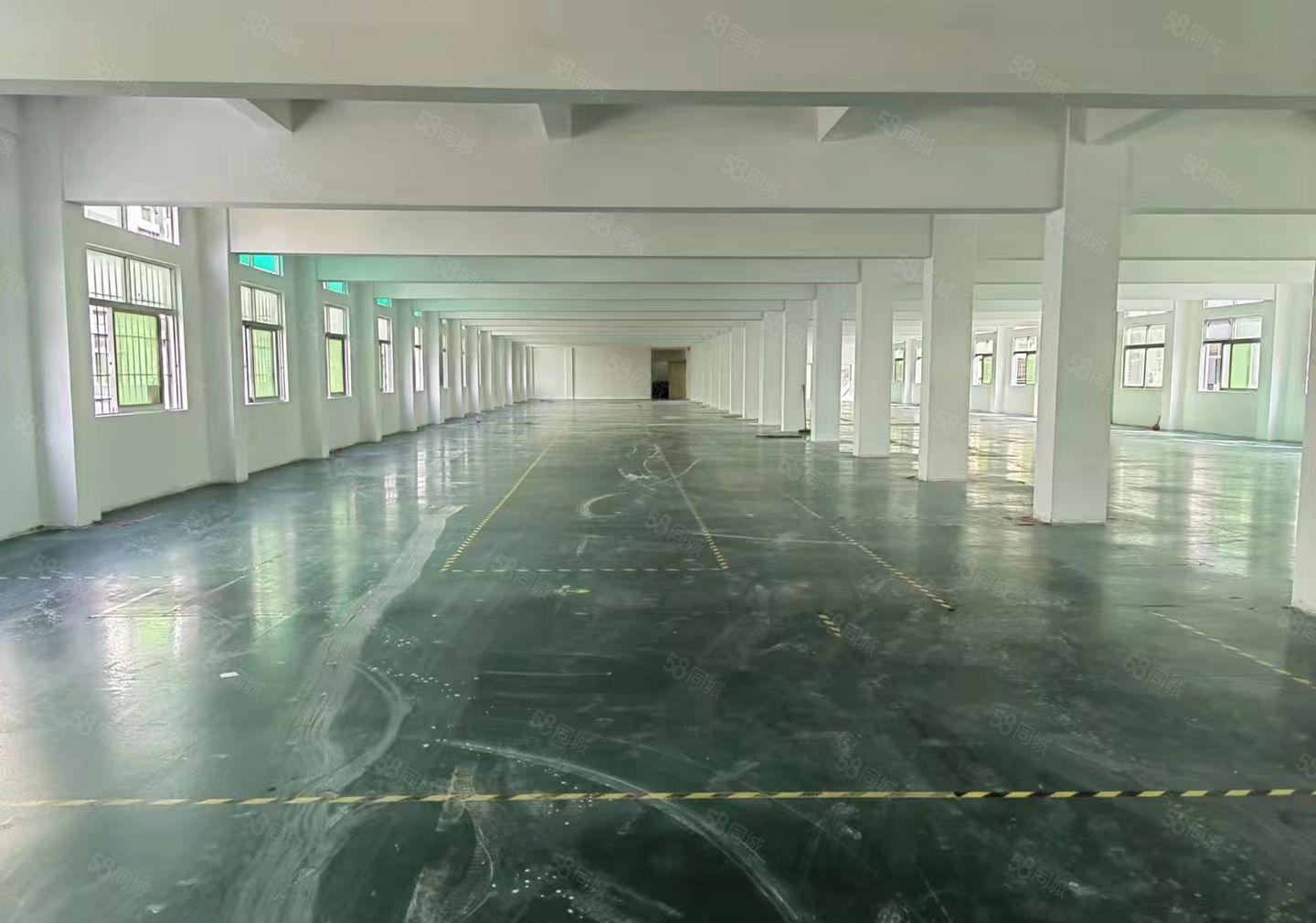 龙华观澜新出独院6600平厂房出租