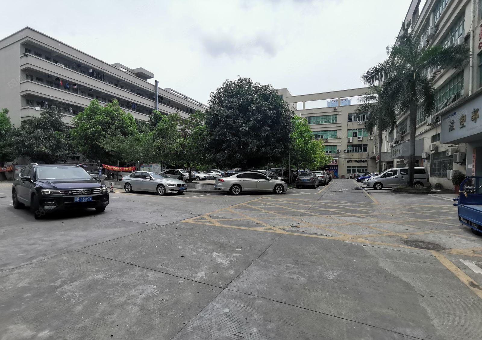 大浪主干道独院厂房楼上整层1600平全新地平漆带装修出租