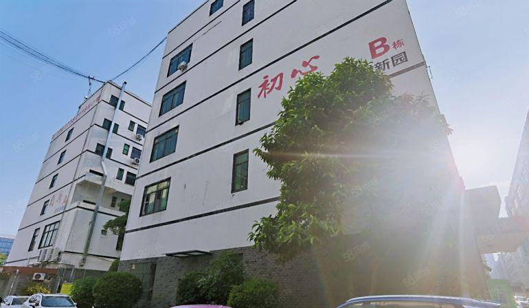 大浪厂房办公室出租， 带家具小面积，方正朝南