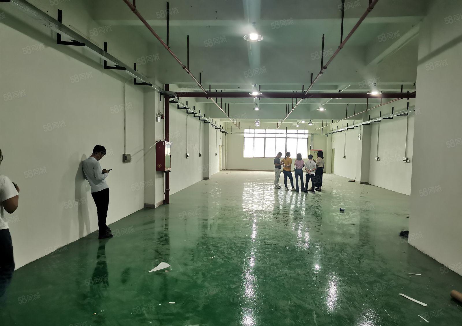 观澜新田原房东楼上400平精装修原房东带红本水电齐全厂房出租