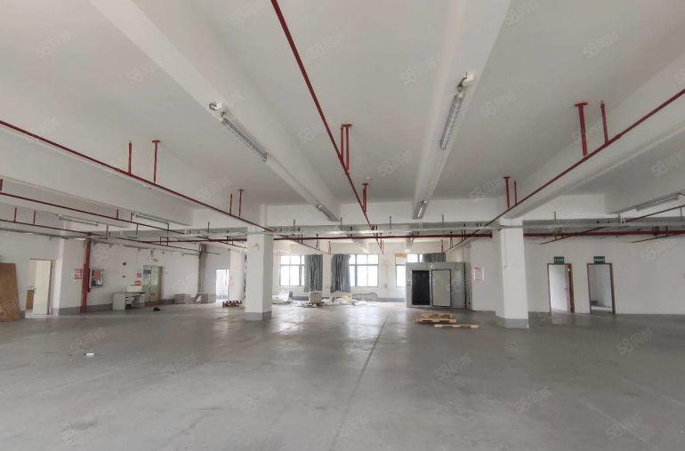 大浪原房东带红本2000平标准厂房低价出租，大小可分租！