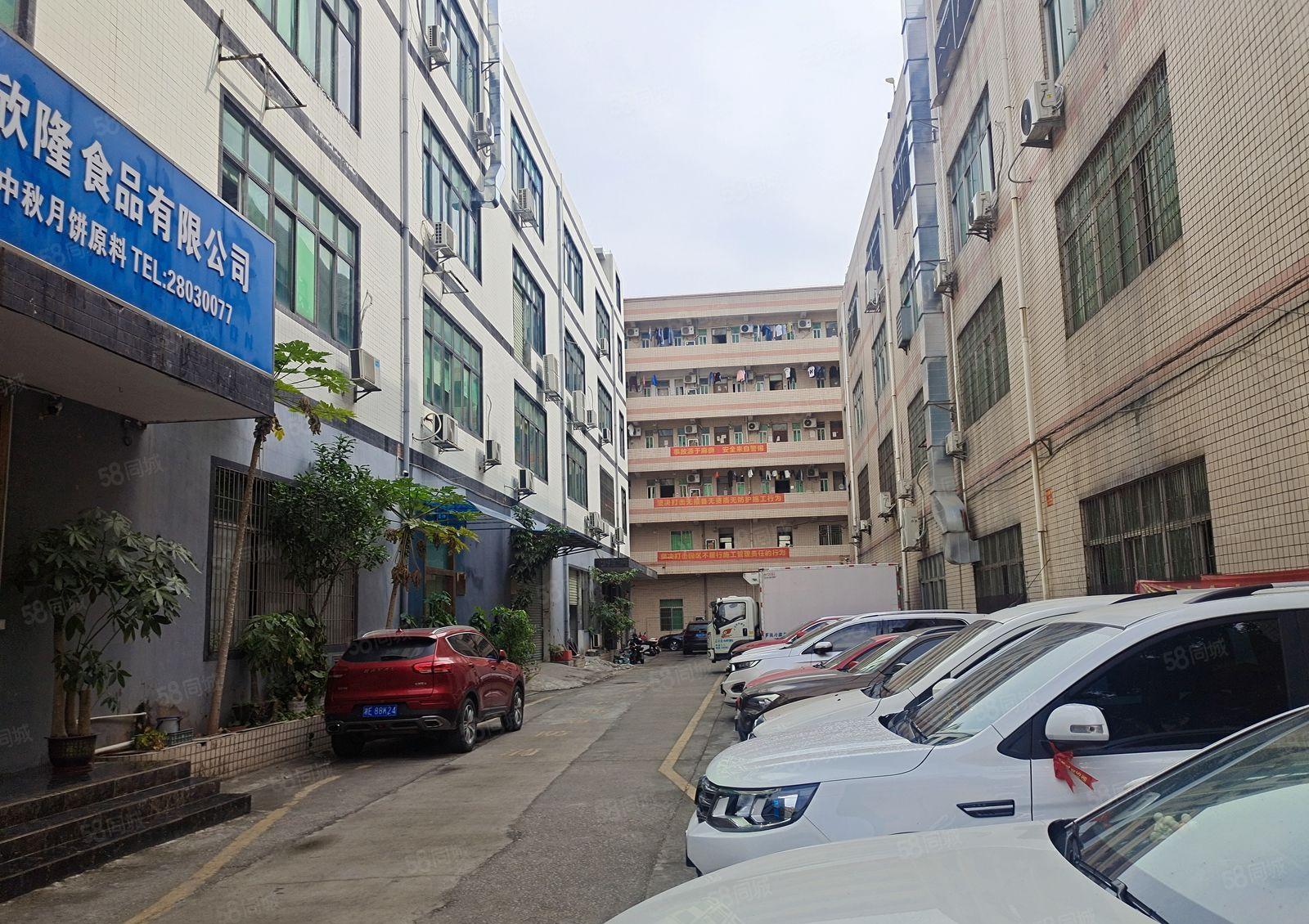 大浪新围村，22元，22元每平，精装修360平厂房出租