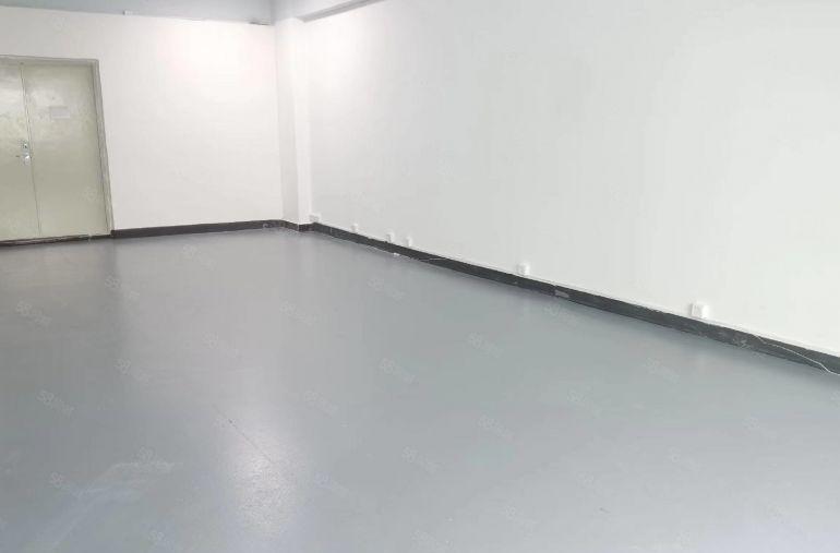 龙华大浪南路河背工业区113平大开间，精装修，单价25