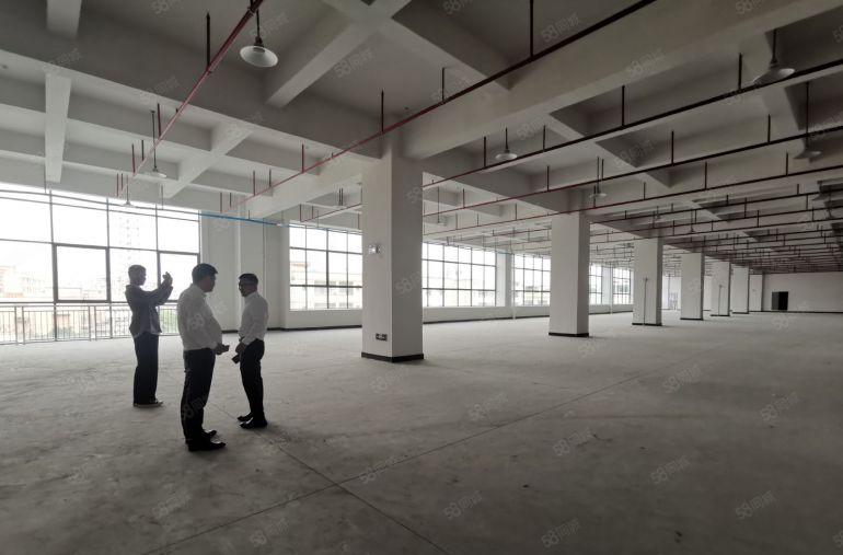 龙华大浪6500平原房东独门独院独栋红本厂房出租可分租无公摊