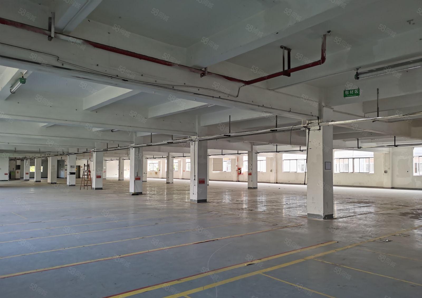 梅观高速出口独院厂房出租，面积1380平米现房出租