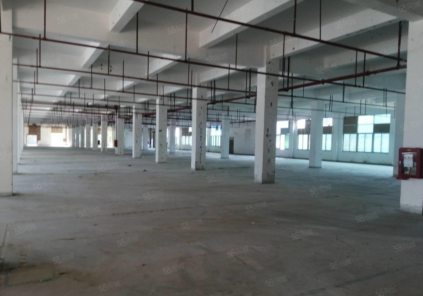 300平起租观澜原房东独门独院水电齐全12500平精装修厂房