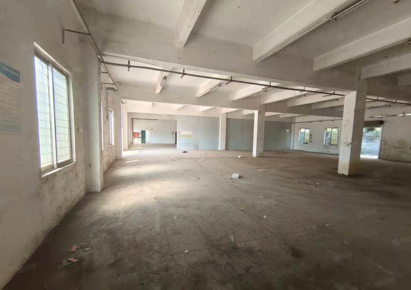 观澜君子布环观南路独院3400平方对外出租