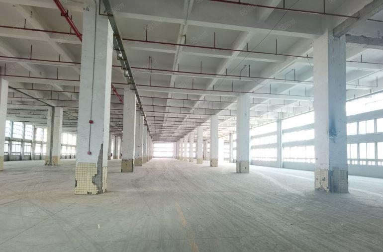 龙华地铁口红本厂房仓库3500平方可分租带丙类消防层高6米