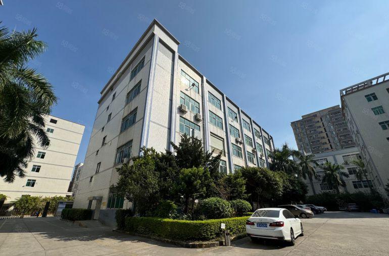 龙华一楼厂房出租200平起带精装电商办公室一楼仓库分租