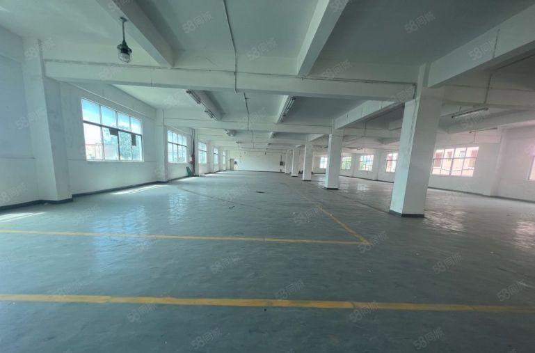 龙华民治地铁口新出一楼精装修860平厂房办公室仓库出租大小分