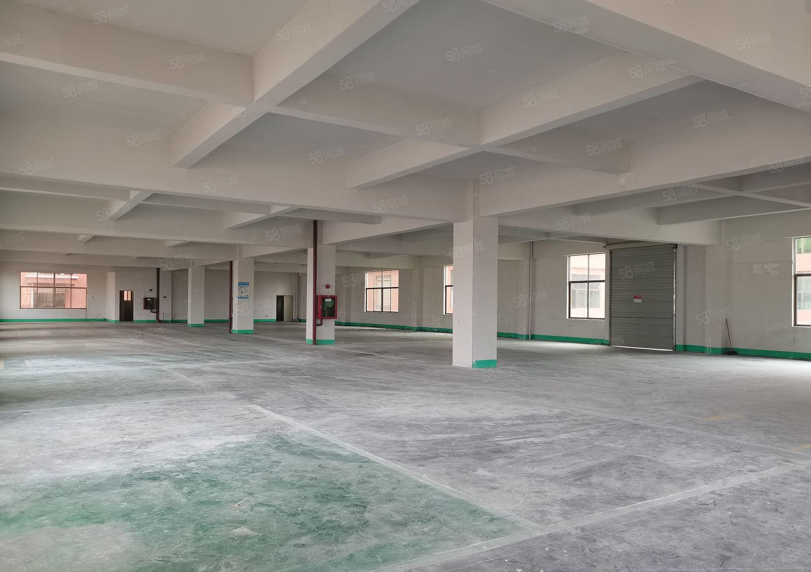 观澜原房东标准厂房楼上一整层1300平米招租！