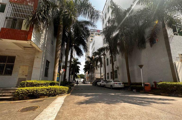 特价  观澜新田原房东厂房1000平出租，带精装修