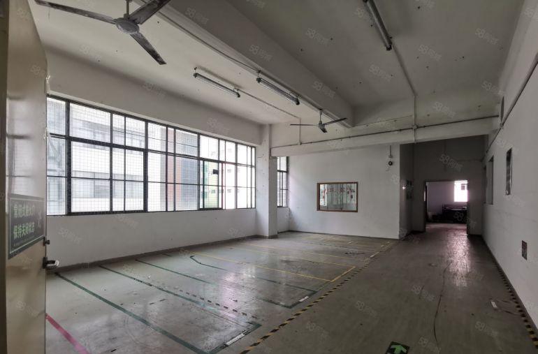 大浪红本厂房2000平，带装修，使用率高，停车方便低价出租