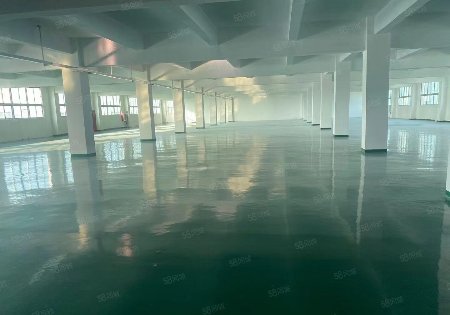 龙华石观单层面积2000平米，大小可以分租 原价转让