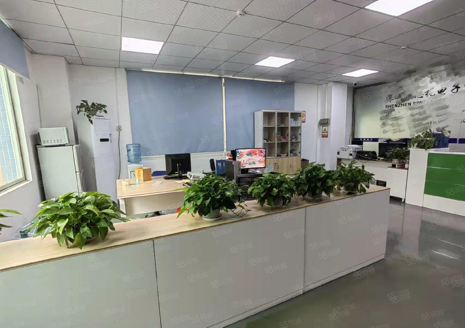 大浪新百丽原房东楼上500平精装