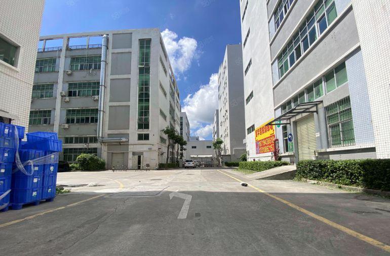 龙华大浪原房东工业园精装修厂房出租一楼300平起分租仓库