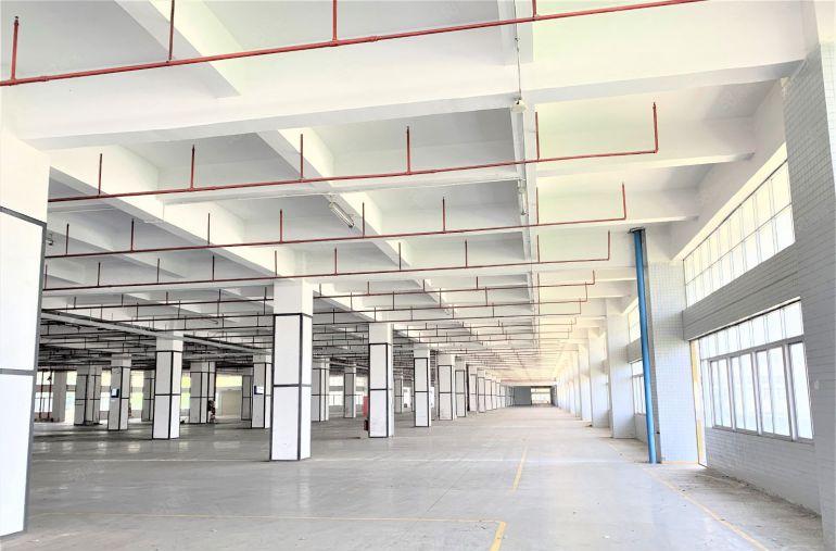 龙华大浪红本厂房仓库工业区4600平可分租带丙二类消防易招工