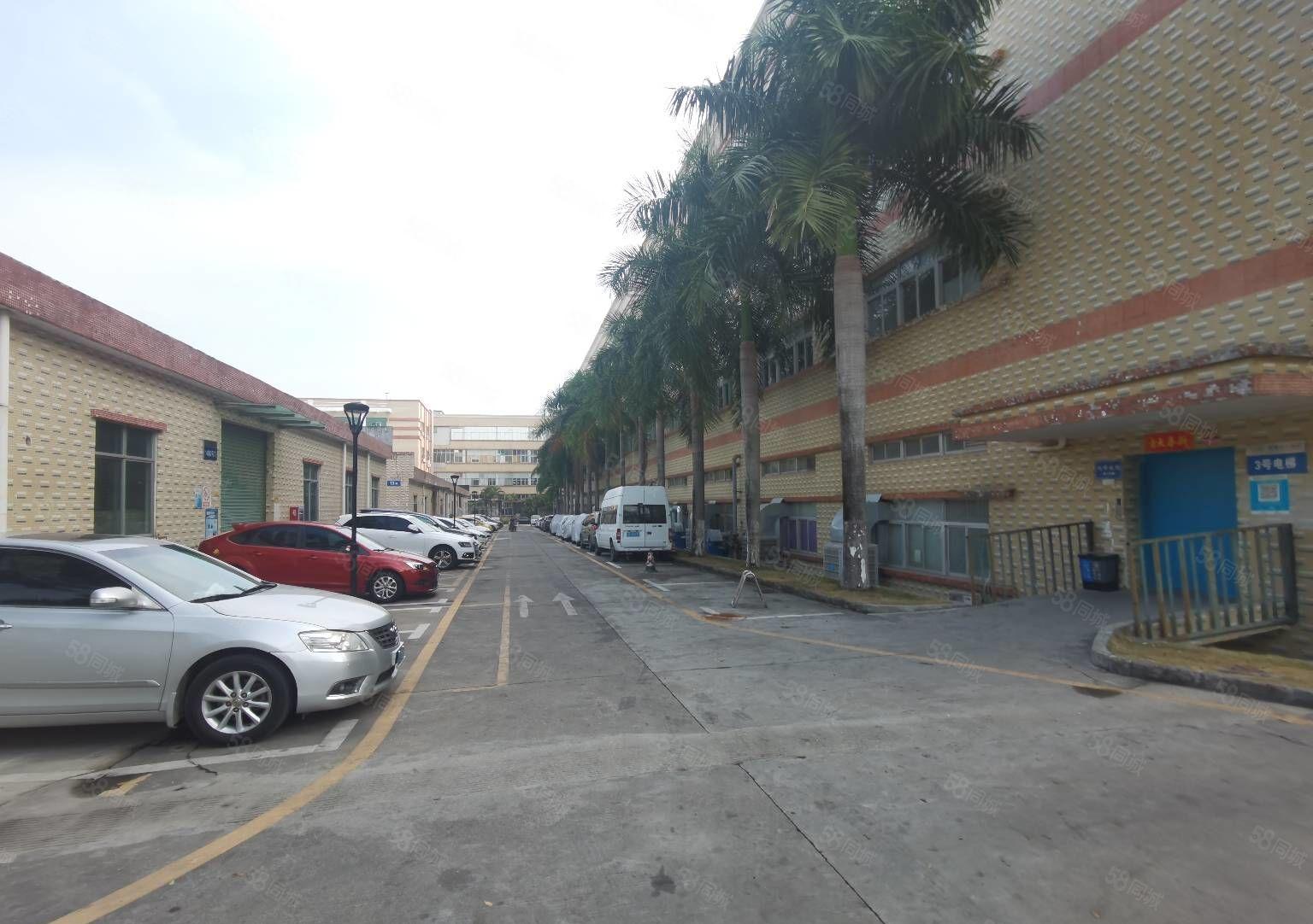 出租，石岩新出一二楼1000平方至5000平方厂房仓库出租