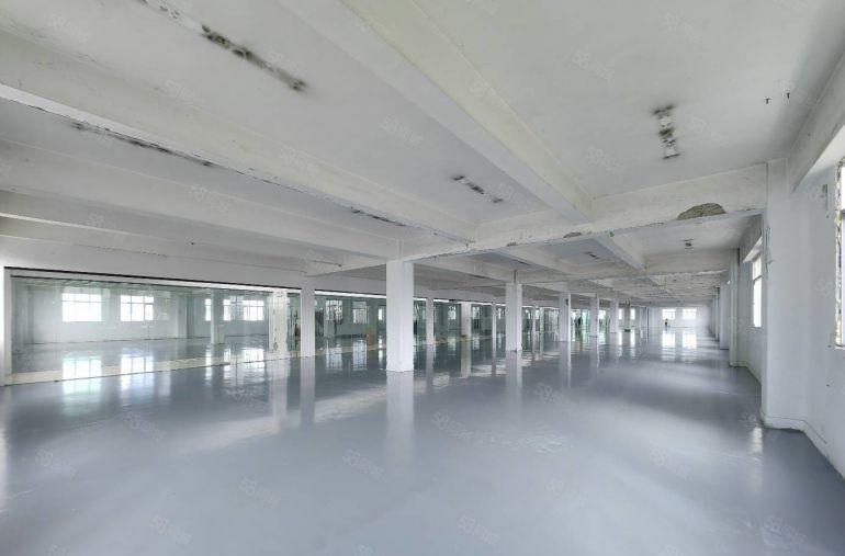 龙华清湖全新地坪漆3000平红本厂房仓库出租 500平起租