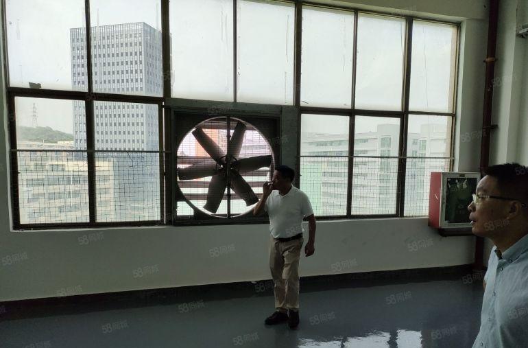 龙华汽车站附近550平米厂房研发办公出租