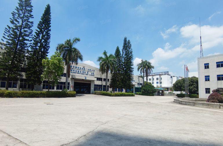 新出独院钢构8000平，龙华主干道边上，层高10米，空地超大