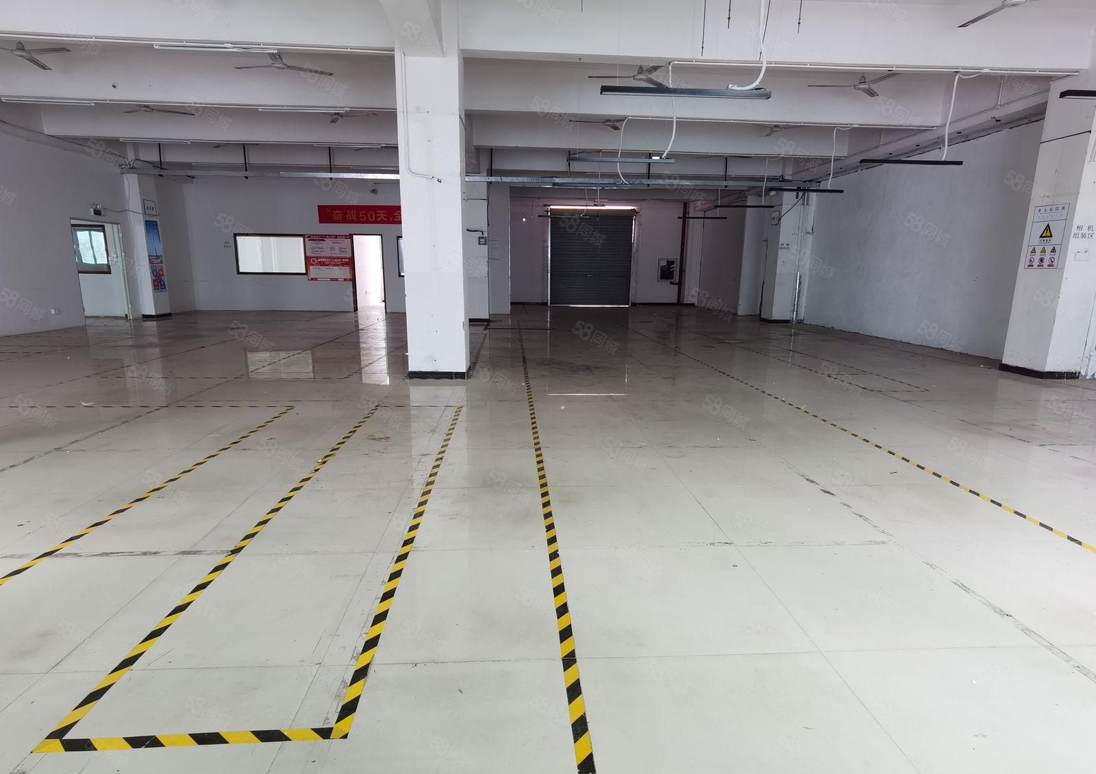 龙华大浪华宁路原房东标准厂房1200平米出租现成办公室和车间