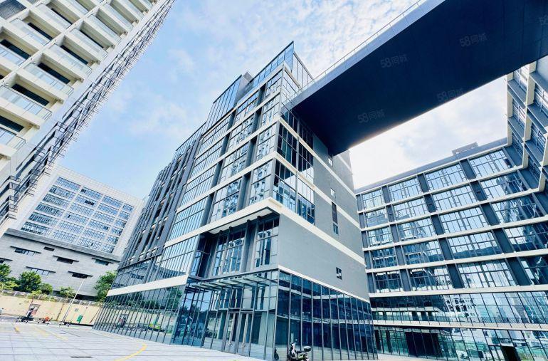 500平起大浪原房东数字产业园50000平精装修办公整租分租