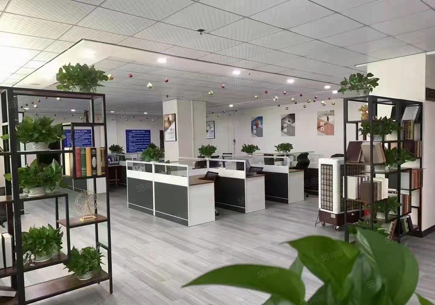 大浪原房东整层面积550平米带装修出租