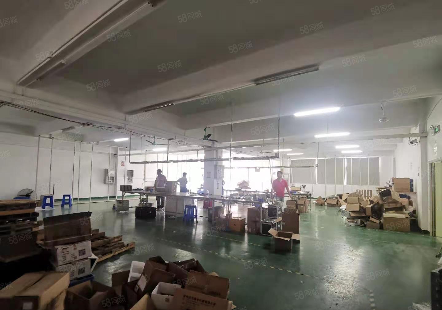 可大小分租！观澜新田工业园二楼1600平精装独院厂房出租