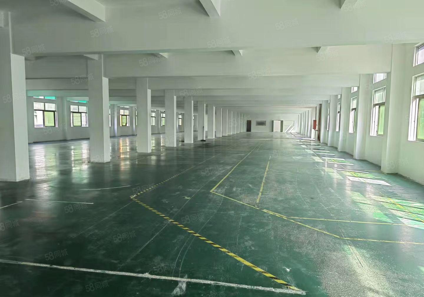 龙华观澜新出独院6600平厂房出租