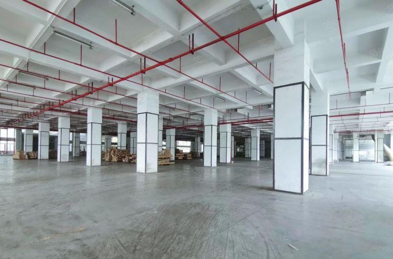 龙华大浪厂房出租100平起工业园仓库办公精装修电商园1楼仓库