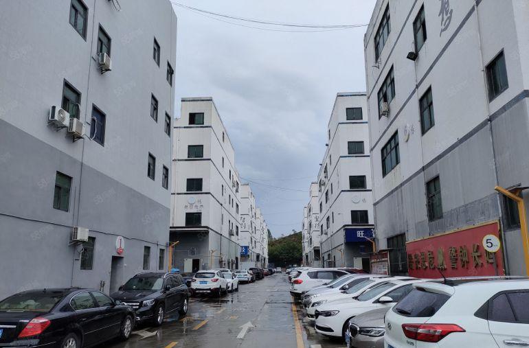 龙华浪口青年梦工场全新地坪漆白墙320平米厂房出租