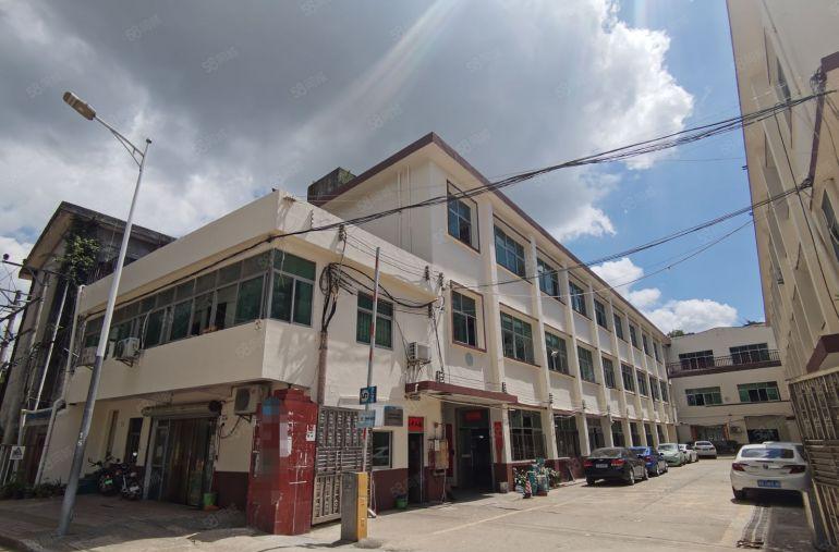 观澜地铁口50米开发商230平一楼标准厂房低价出租