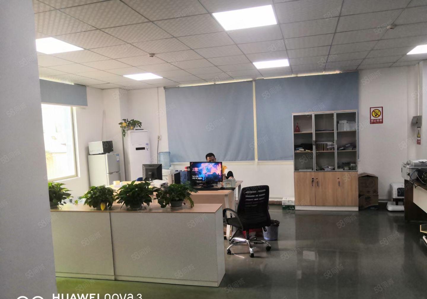 大浪2楼，整层，整层厂房550平，精装出租