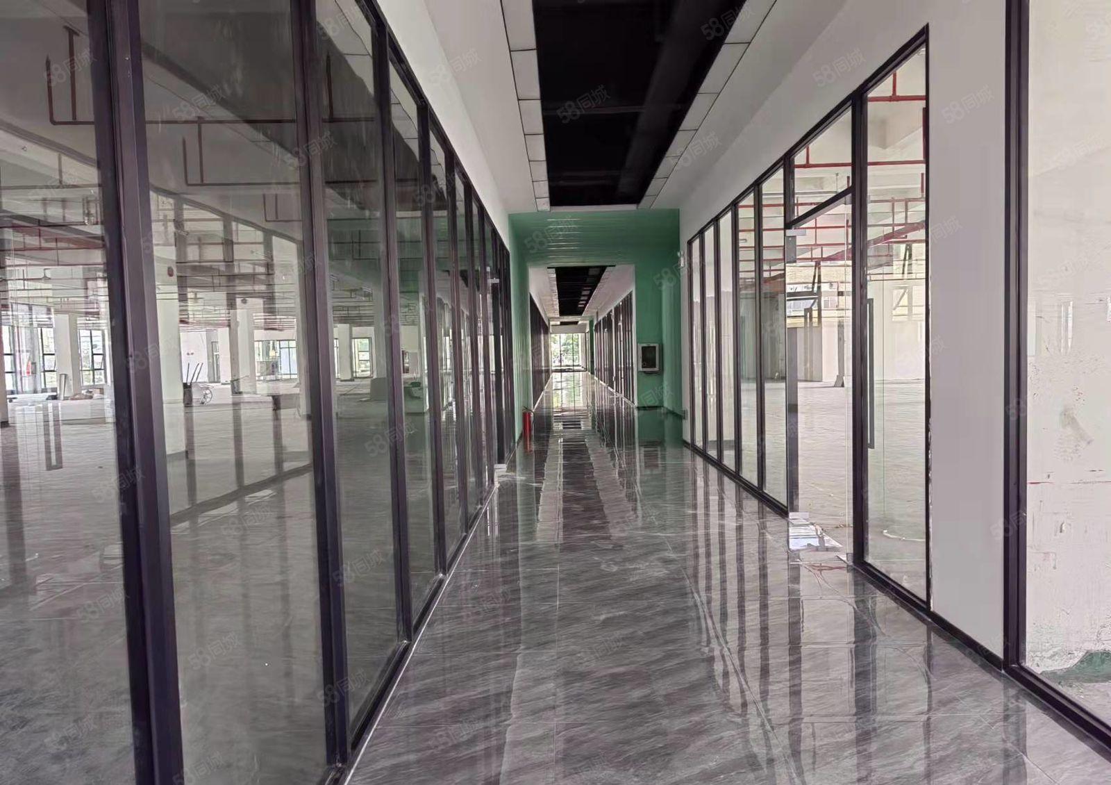 龙华大浪商业中心116平~4000平精装办公厂房出租可分租