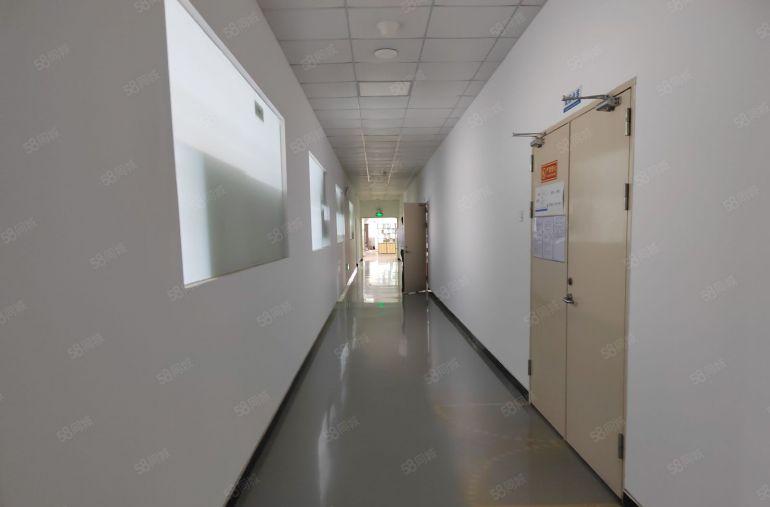 观澜松元厦地铁口附近楼上1500平精装修红本厂房出租