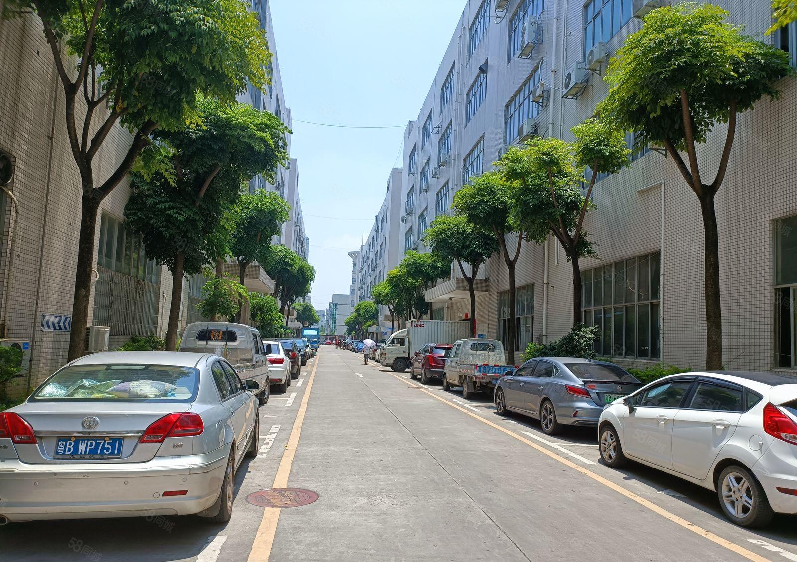 龙华一楼7米楼上5米1000平米200平米起租带消防3吨货梯