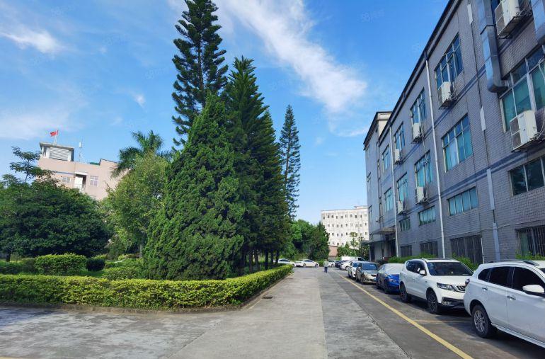 库坑原房东一楼厂房零公摊出租1500平方，层高6米大小可分租