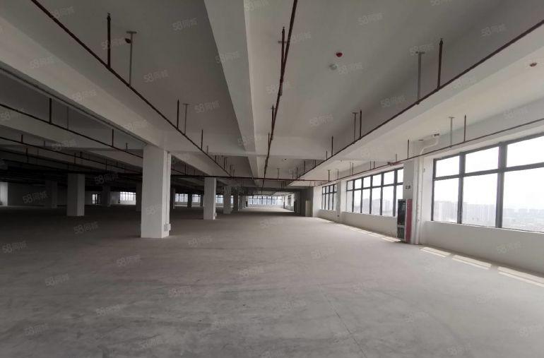 600平起分龙华观澜红本科技园实际面积出租2万平适合高新企业