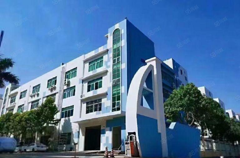 观澜松元厦附近原房东楼上3000平厂房出租300平起分租