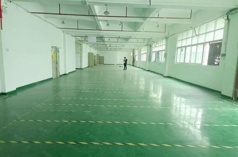 龙华大浪商业中心附近独门独院精装修厂房3000平出租超大空地