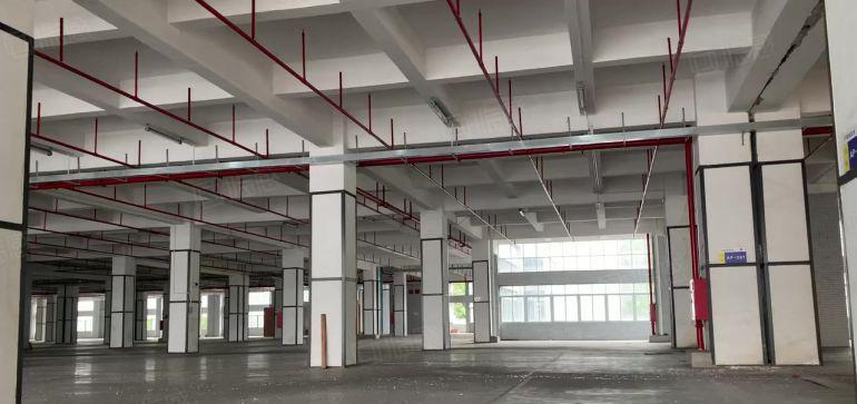 龙华中心福龙路口超大型数字物流仓一楼1000平起租带卸货平台