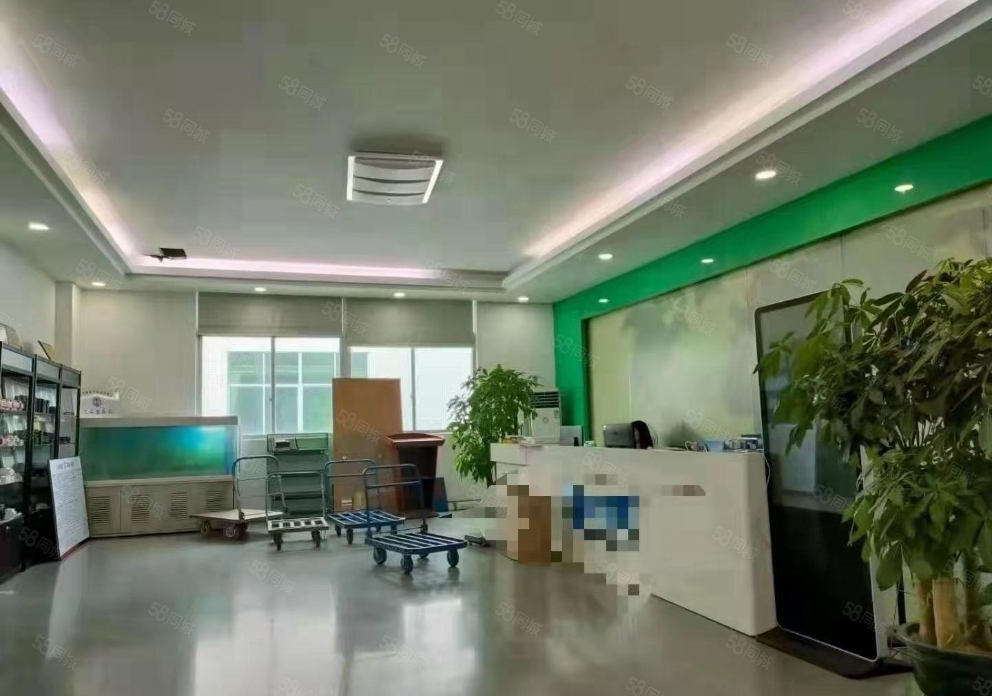 大浪龙泉科技园新出810平厂房出租(可分租)