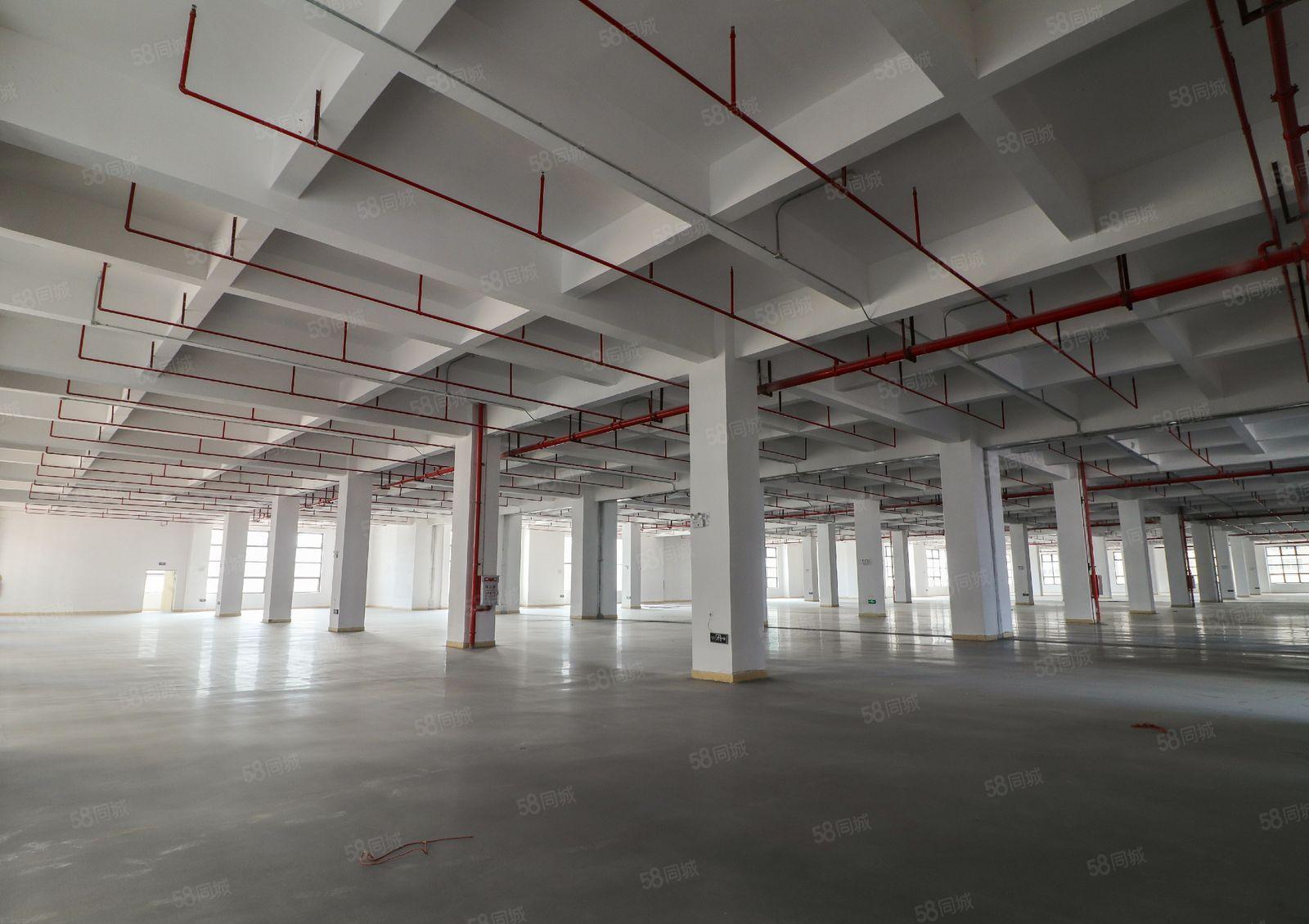 临深圳，黄江整层7750平米工业厂房业主直租，形象好可办环评