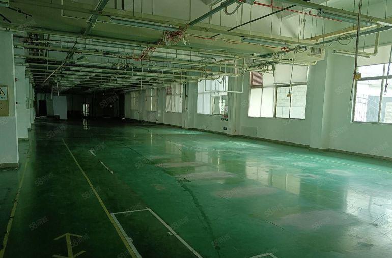 200平起租 观澜原房东红本工业园2000平一楼厂房低价出租