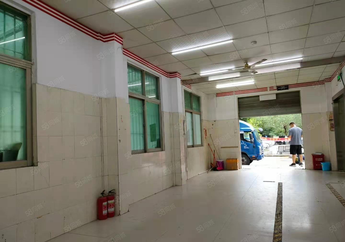 龙华大浪一楼小面积150平仓库厂房出租