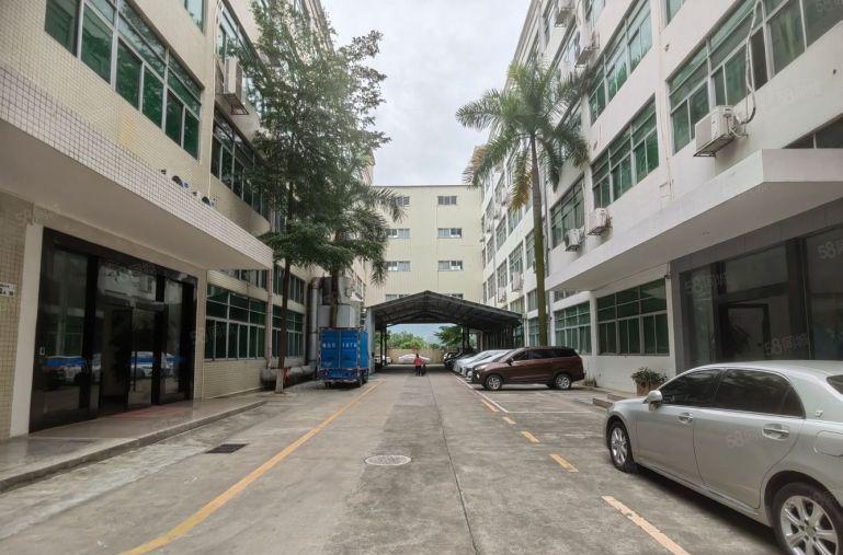 龙华民治精装电商厂房出租一楼500平可分租200平行业不限制