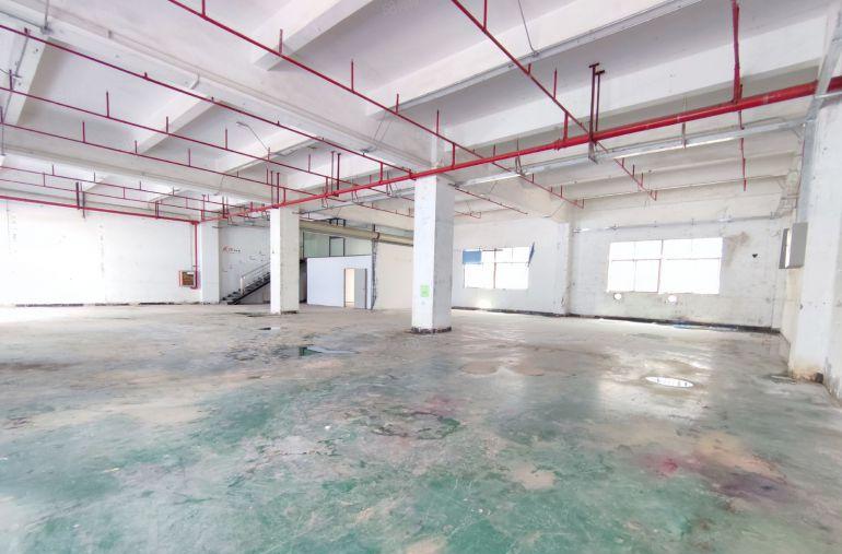 观澜工业园内 一楼厂房出租800平方 带办公室装修