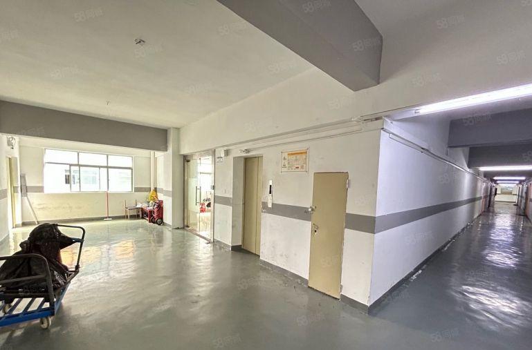 龙华民治油松127平，适合办公仓库，小加工，租金单价29元